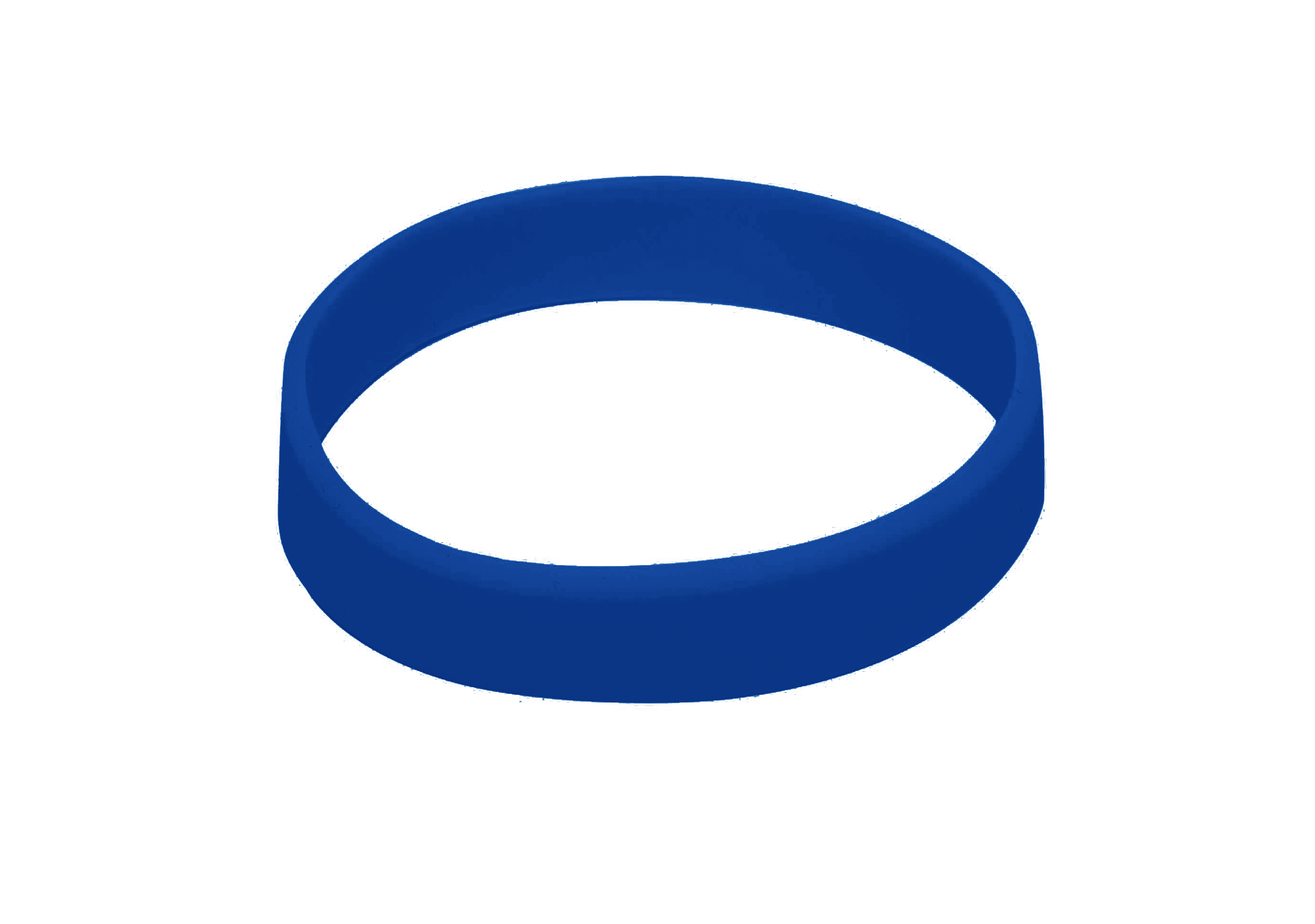 Silicon Wristbands (BLUE)